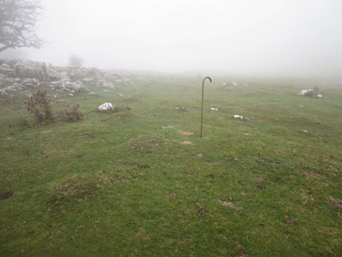 Cromlech Igaratza II c (Noviembre 2015)