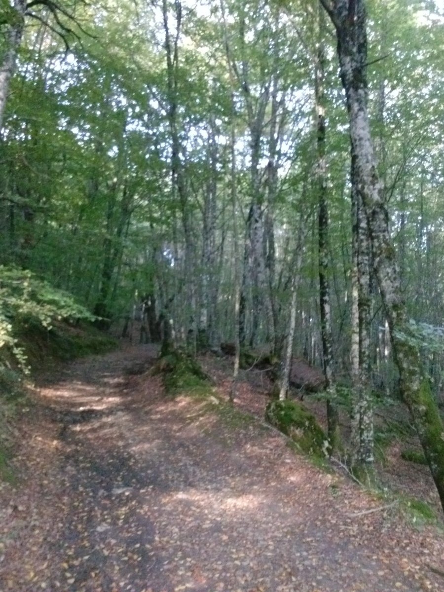 Sta. Marinako igoera Iturmenditik pagadian barrena