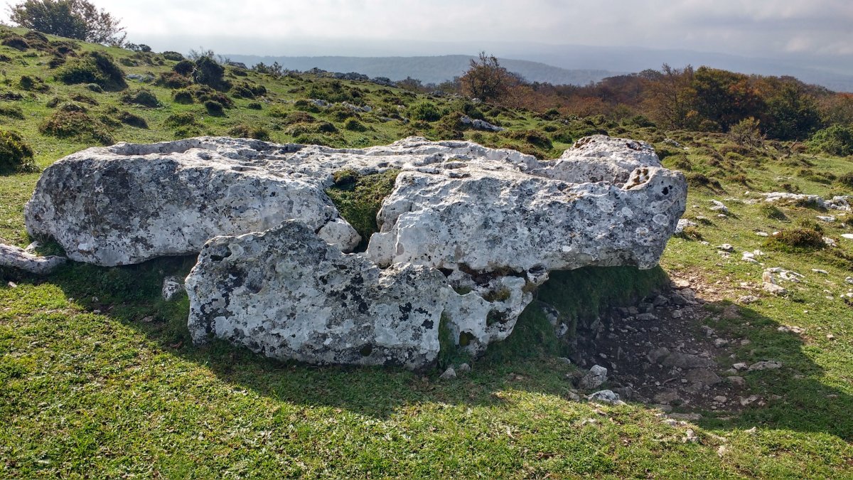 Baitza zutarria (2017)