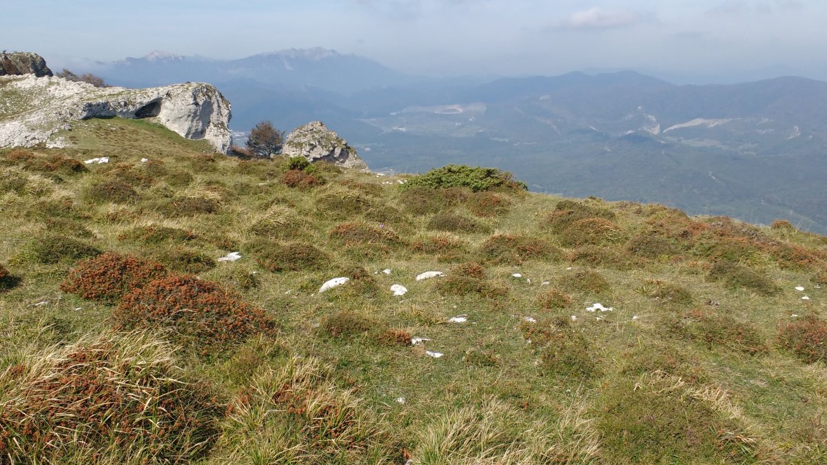 Arbotton eraztun-tumulua 2