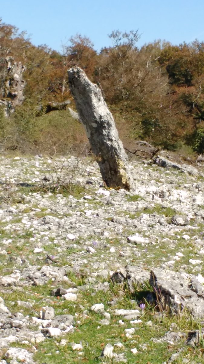 Bretxagaina (Mugako-Arriya) zutarria 7