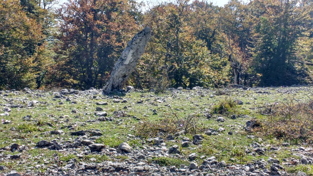 Bretxagaina (Mugako-Arriya) zutarria 5