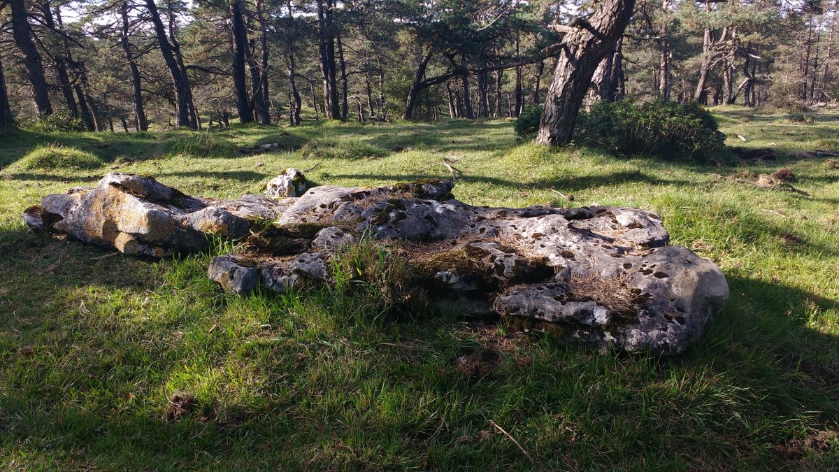 Sta. Marina (Txopordi) zutarria (2017)