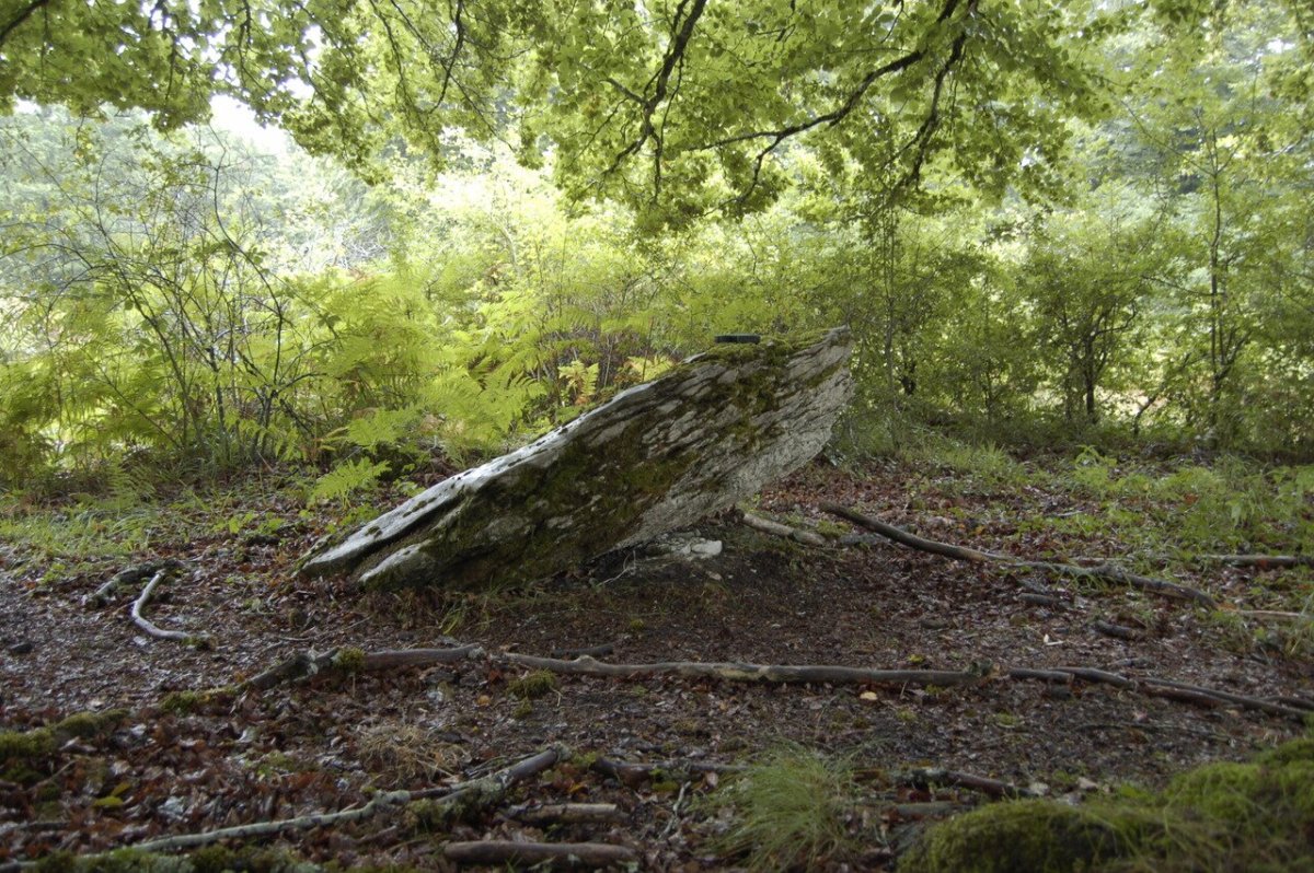 Soroibarren M (www.Txoperena.es)