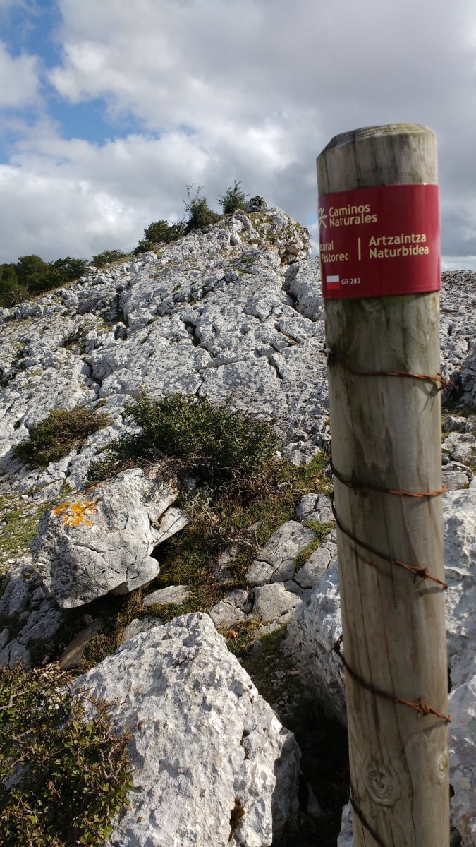 Artzain senda Baio tontorrerantz