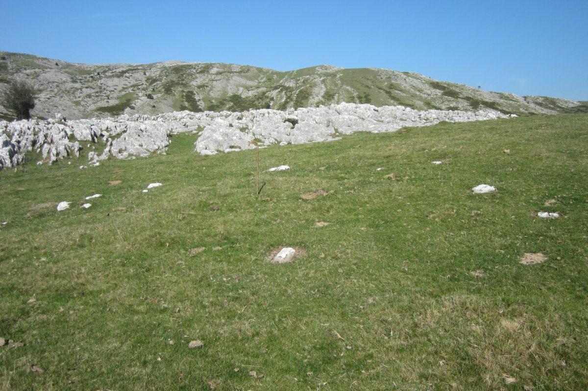 Cromlech Igaratza V (Septiembre 2017)