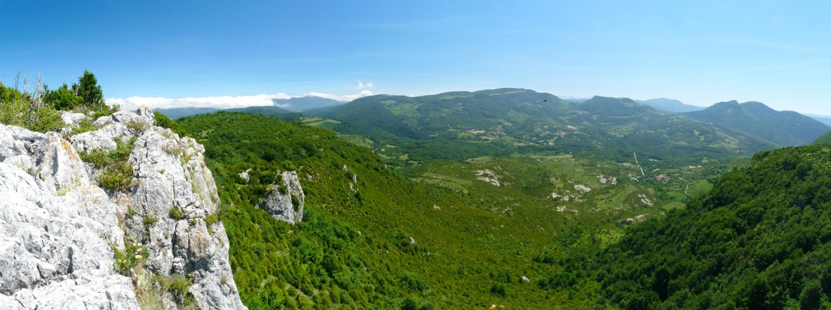 Ligarrietako labarrak