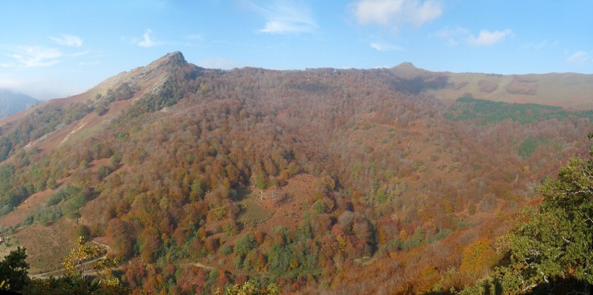 Oltzorrotz Mendaurko bidetik