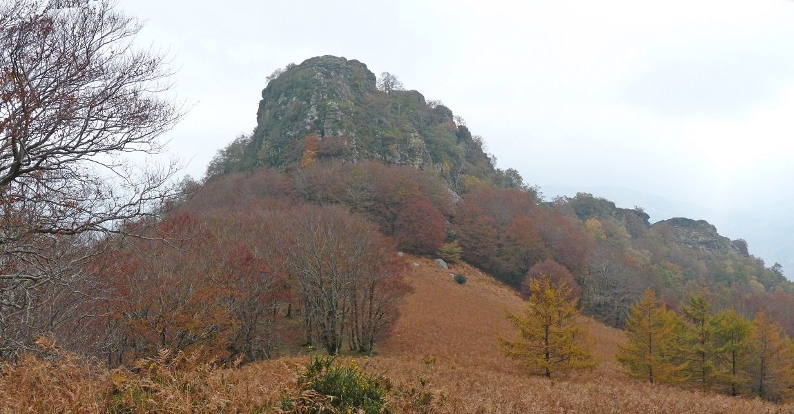 Oltzorrotz iparraldeko lepotik 
