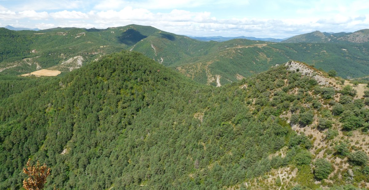 Artxutako harriak (zuhaitzekin) eta Txitxurro (soila)