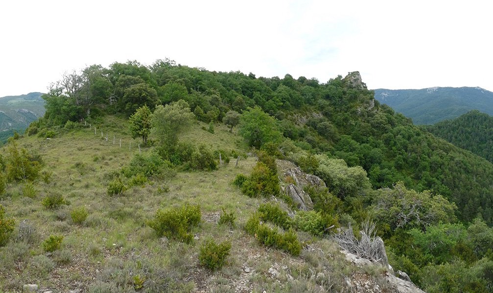 Irugain harriak Artxutako bidetik