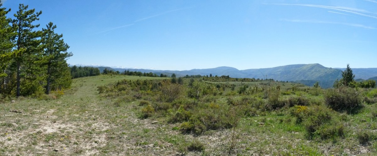 Santa Agedako gailurra