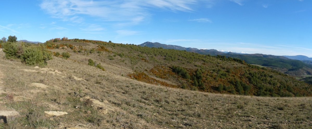 Narbasi gaina San Kristobaldik 