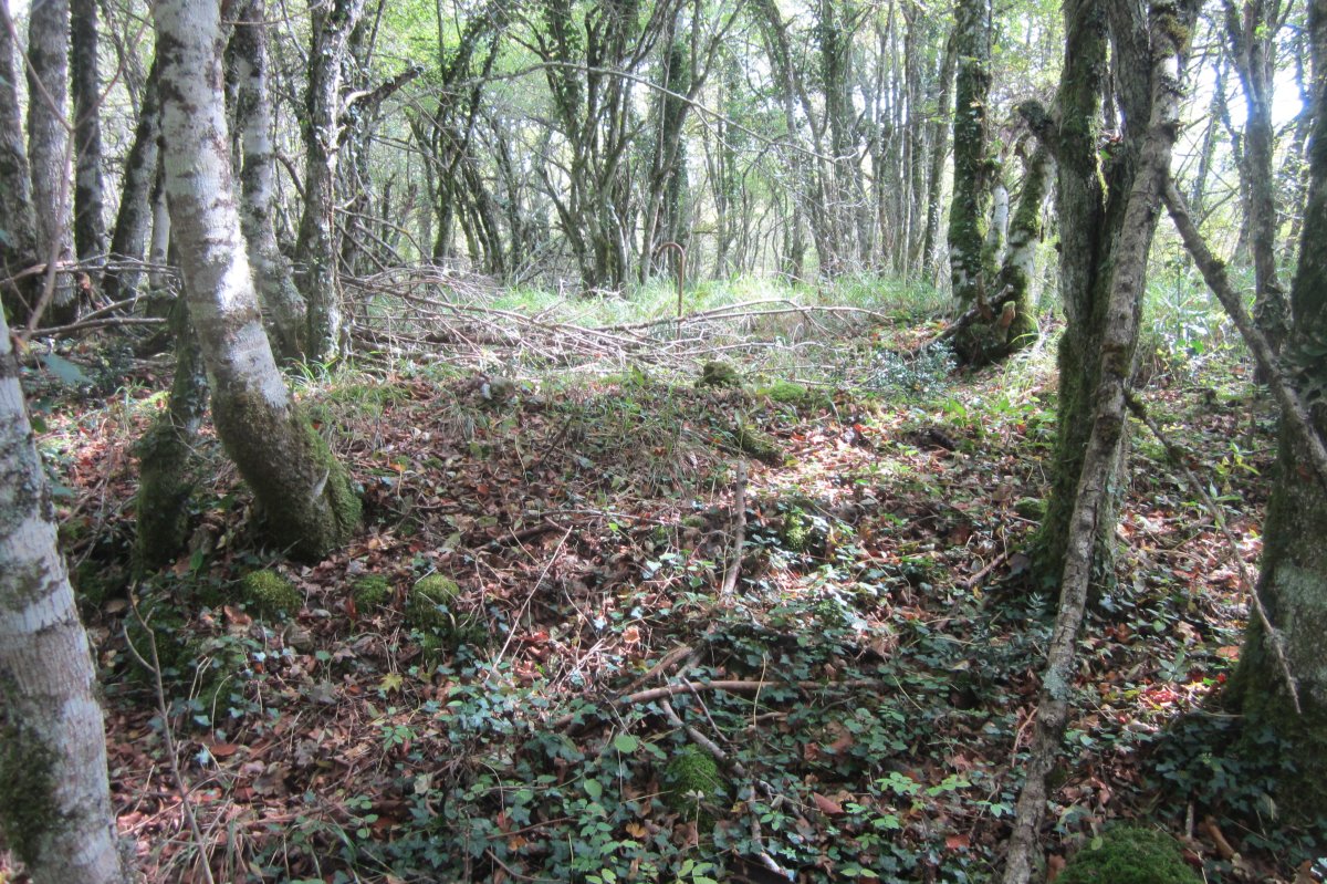 Túmulo Artabakar  (Octubre 2017)