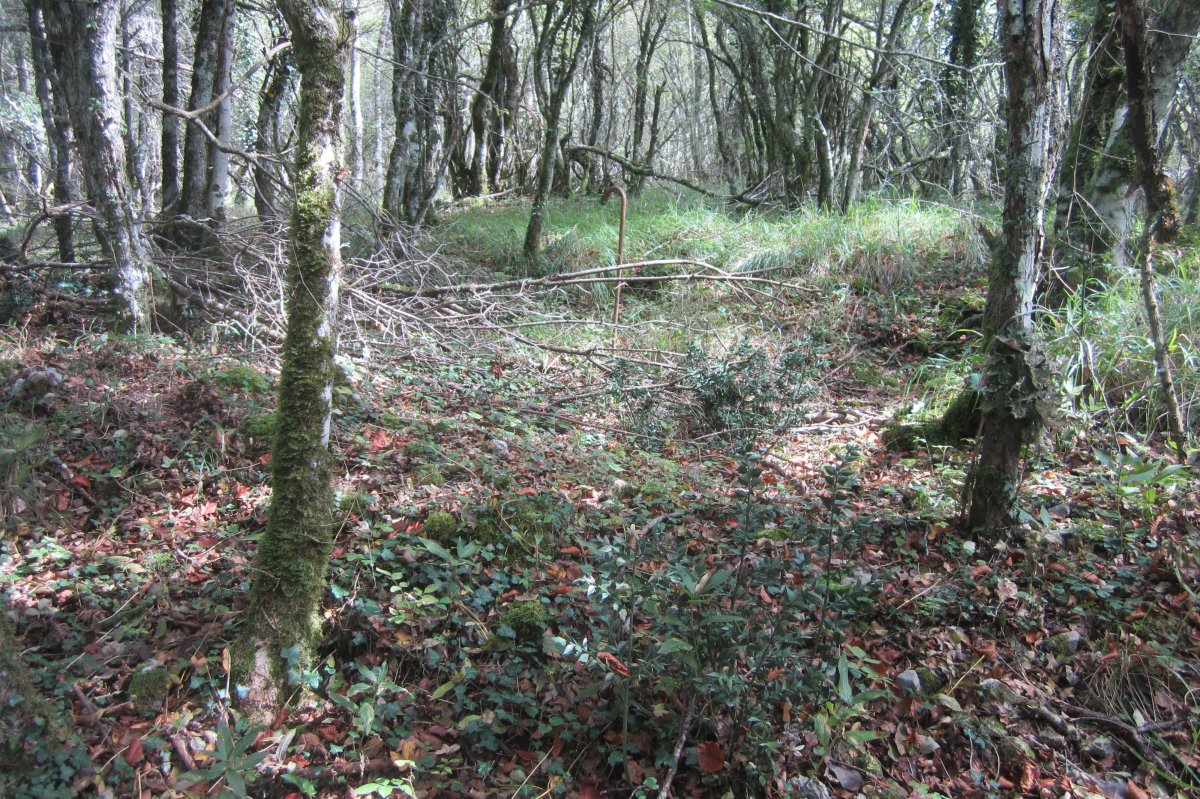 Túmulo Artabakar (Octubre 2017)