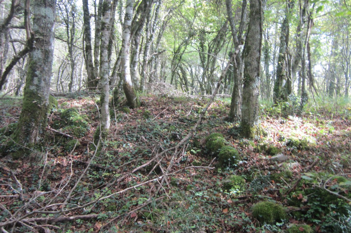 Túmulo Artabakar  (Octubre 2017)