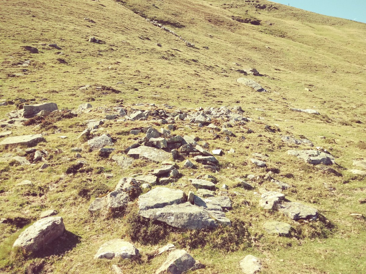 Igitaia trikuharria 3