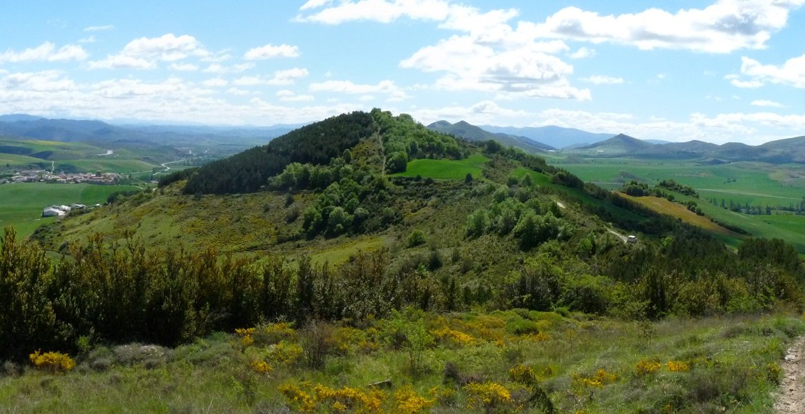 Argonga iparraldetik