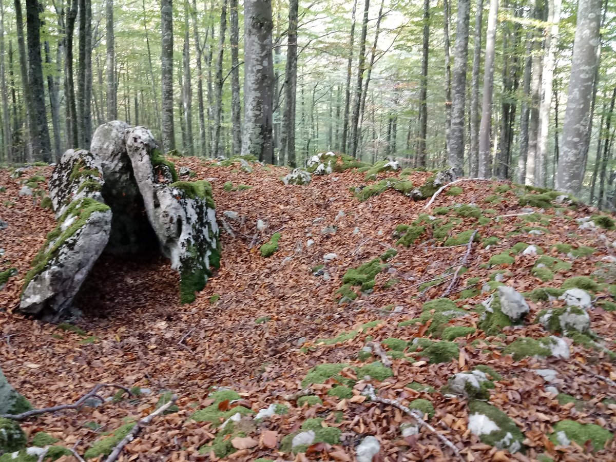 Ansaretako Zaparra trikuharria 2