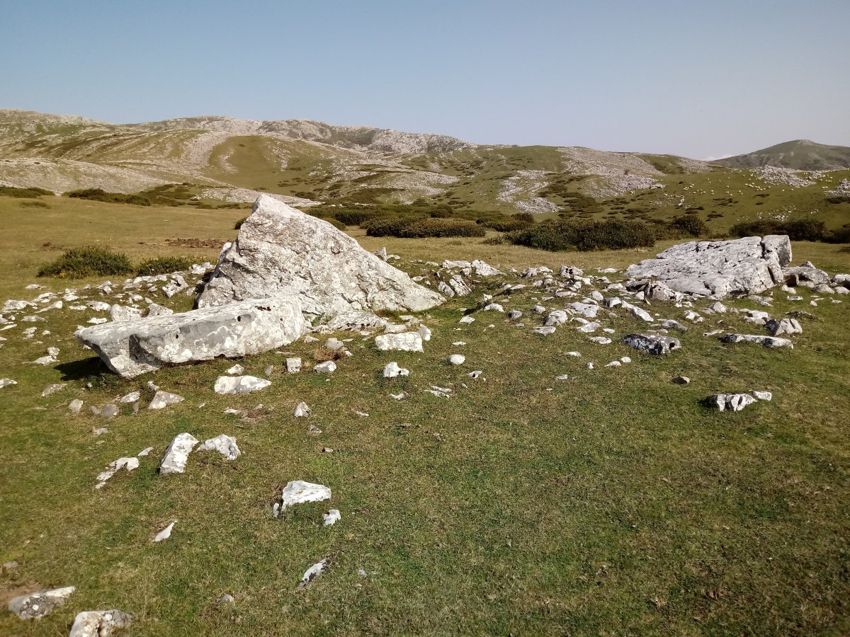 Trikuharri trikuharria 2