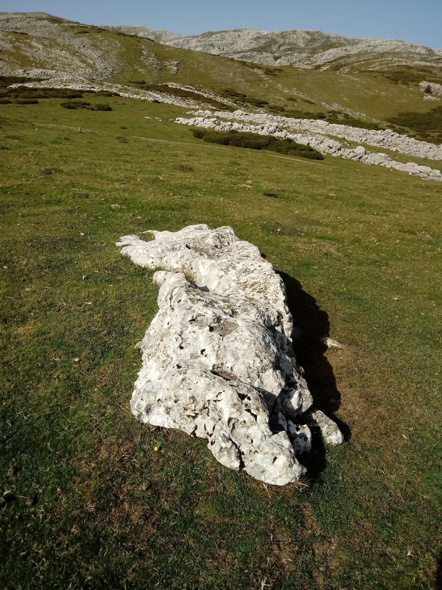 Obioneta zutarria (2017)