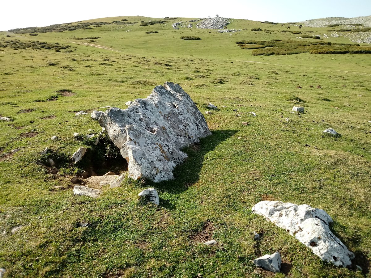 Obioneta Iparra trikuharria 3