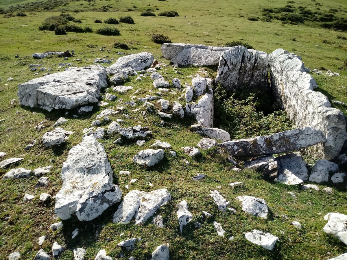 Obioneta Hegoaldea trikuharria 2