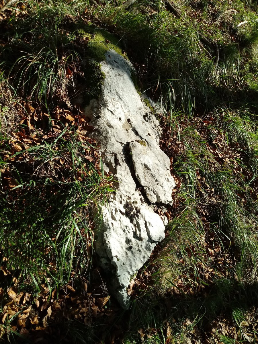 Aratzkosaroi zutarria 4