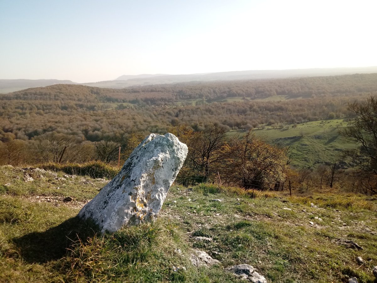 Zelaiaundi zutarria 2