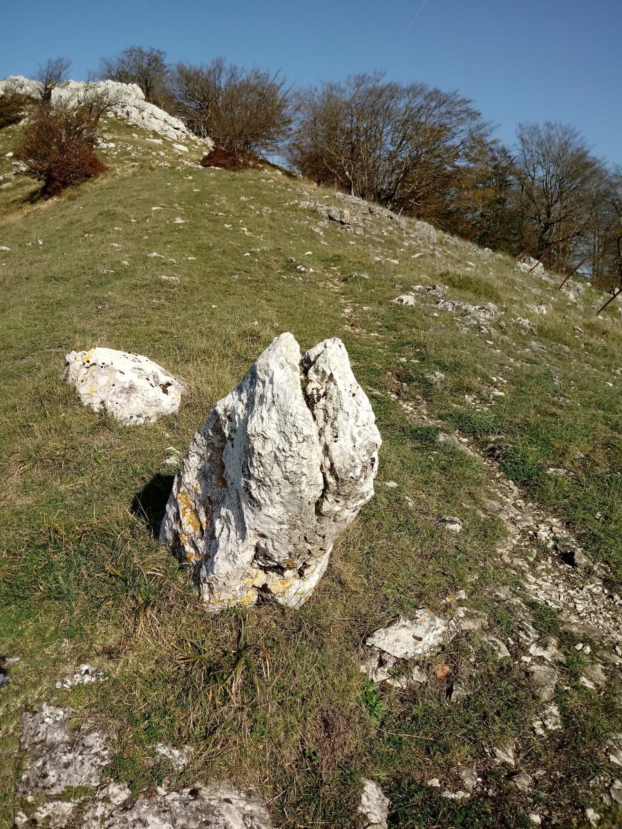 Zelaiaundi zutarria  (2017)