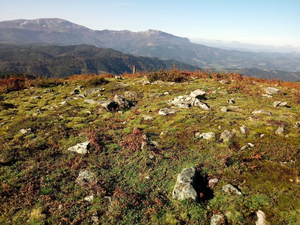 Saiputzueta trikuharria 3