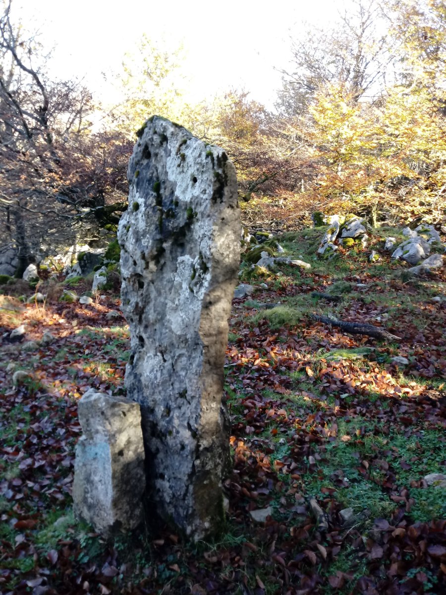 Arrietabaso zutarria 3