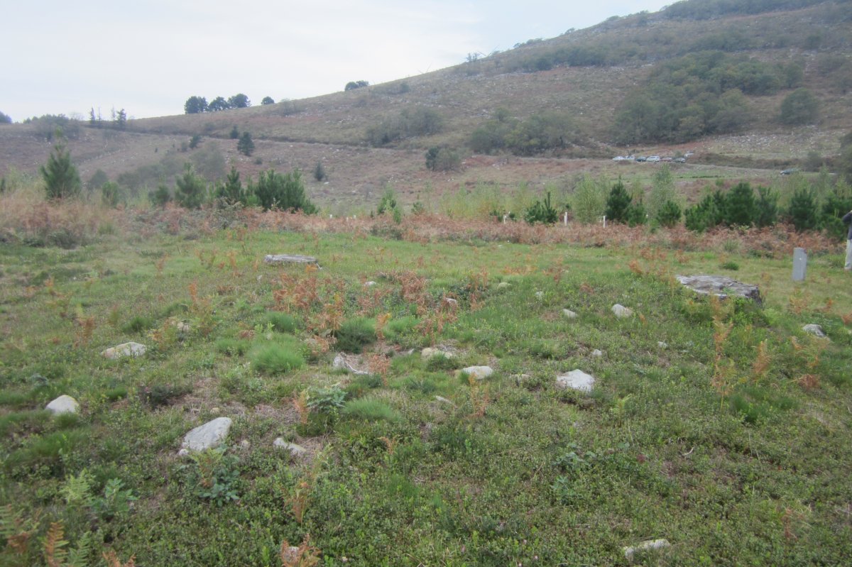 Túmulo Ipinarrieta  (Noviembre 2017)