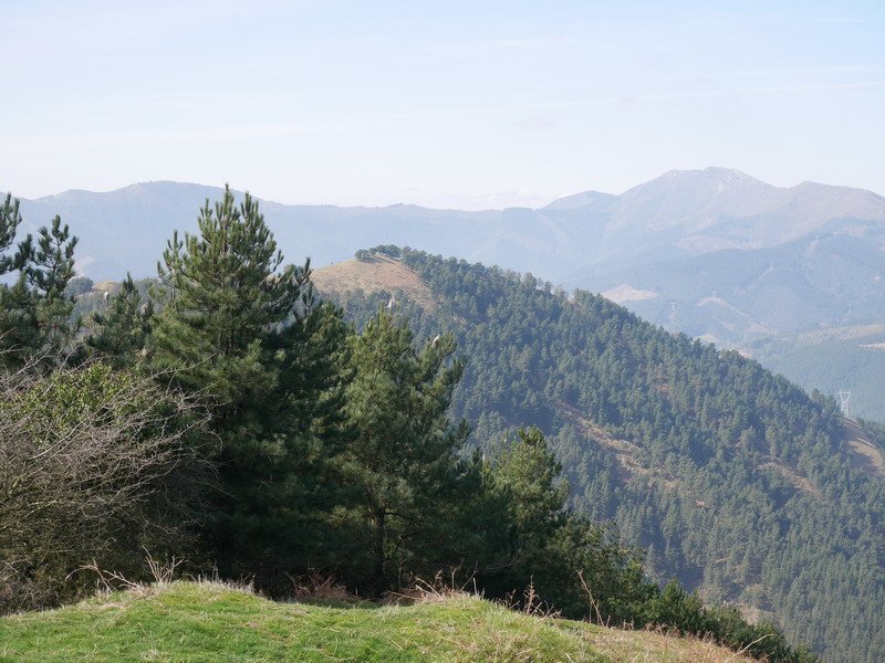 Artanda Upotik ikusita