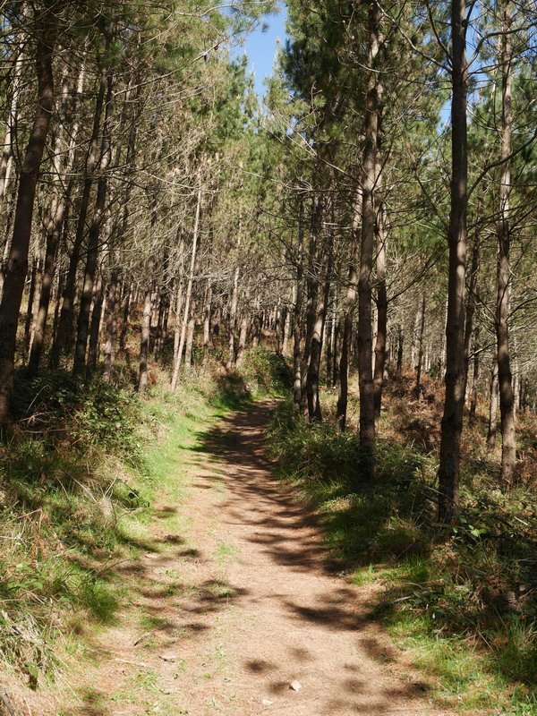 Egogarai lepotik hurbiltzen den bidea