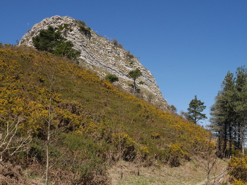 Ekialdeko magaleko bidezidorretik ikusita