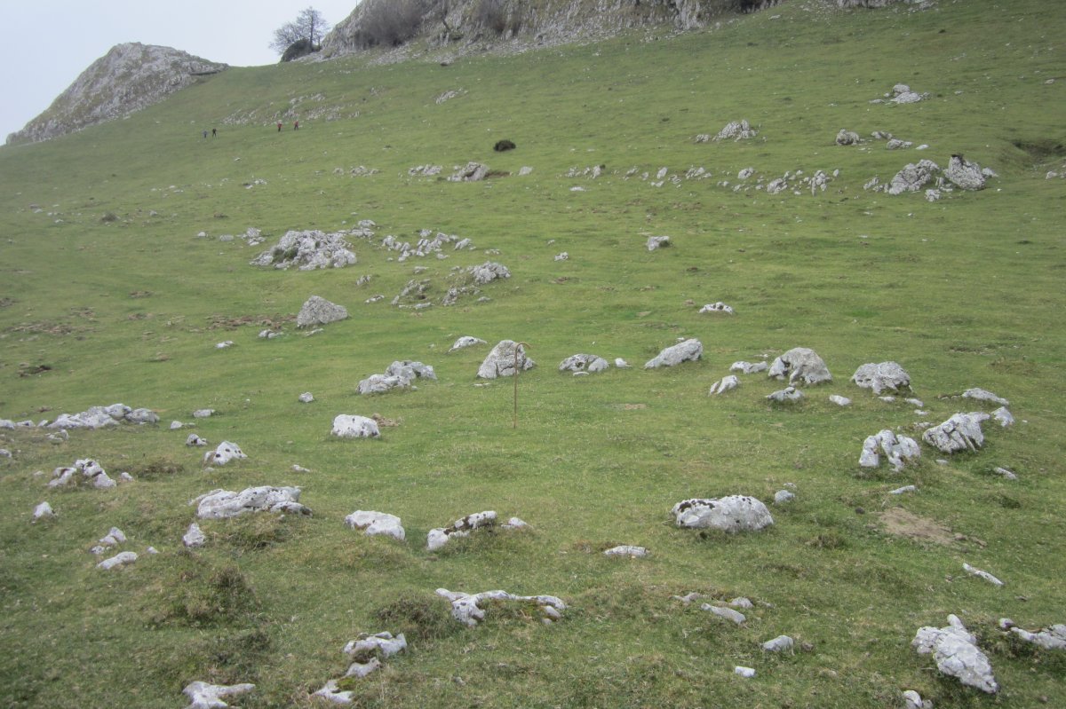 Círculo Elola  (Noviembre 2017)