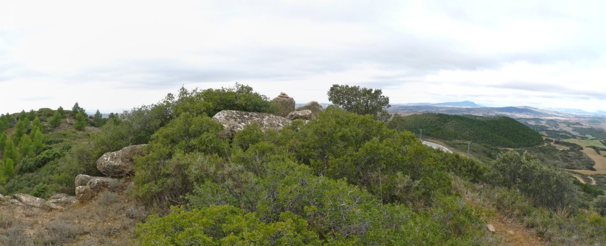 Txingarra mendiko gailurra