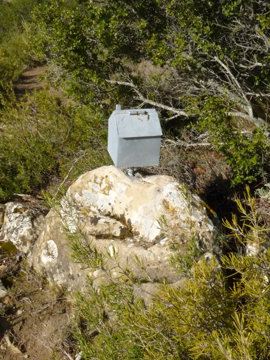 Txingarra Txikiko gailurra