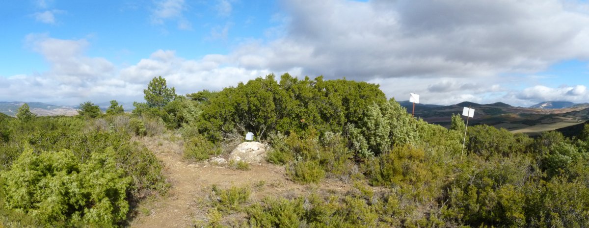 Txingarra Txikiko gailurra