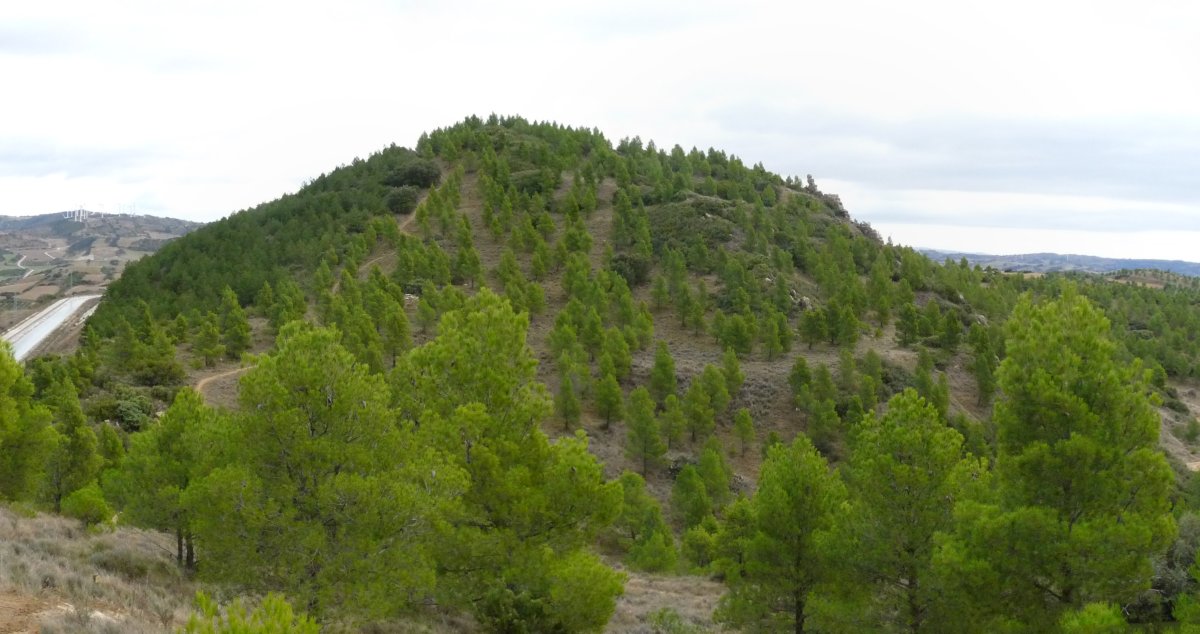 Gazteluzar mendebaldetik