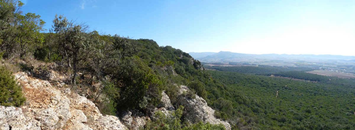 Antzin gaineko malkarrak