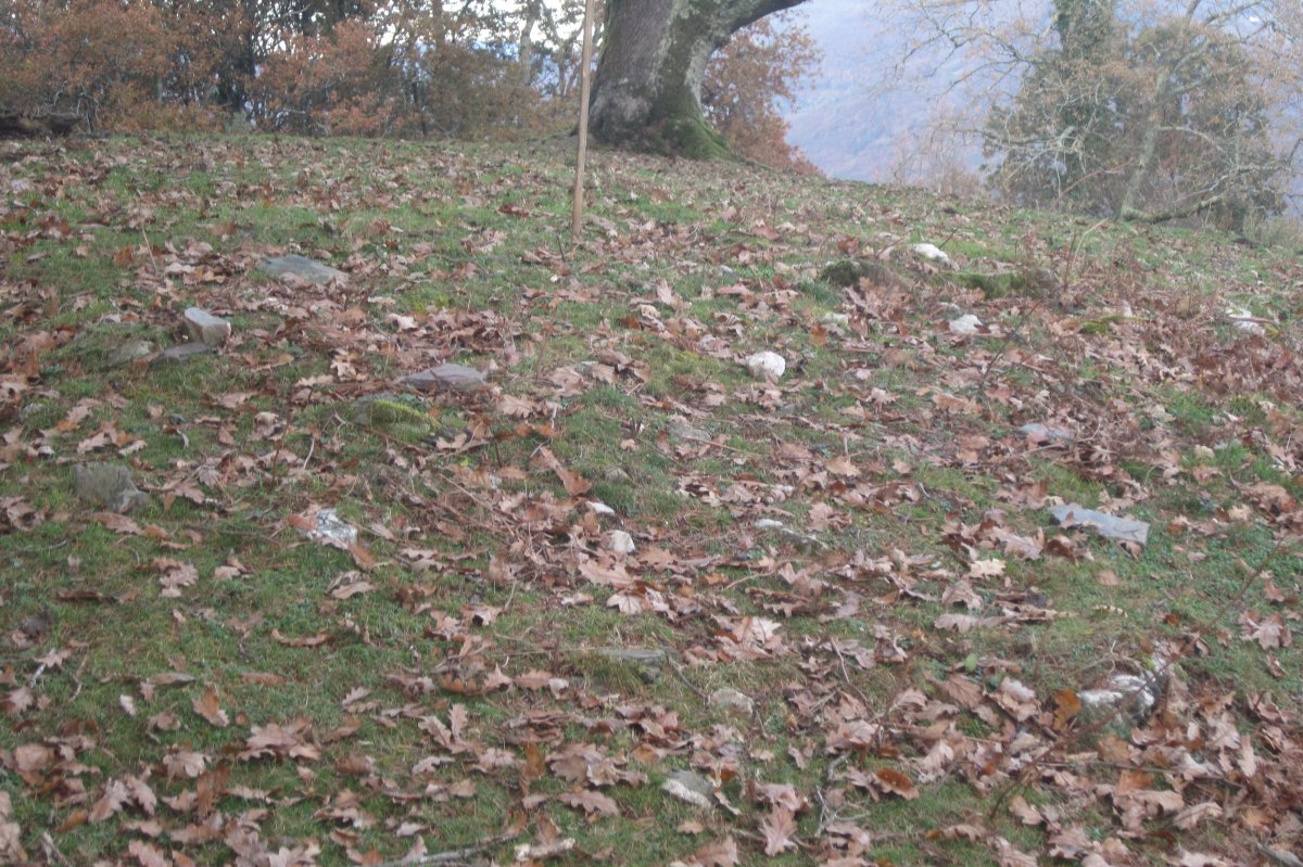 Túmulo Etxolla (Noviembre 2017)