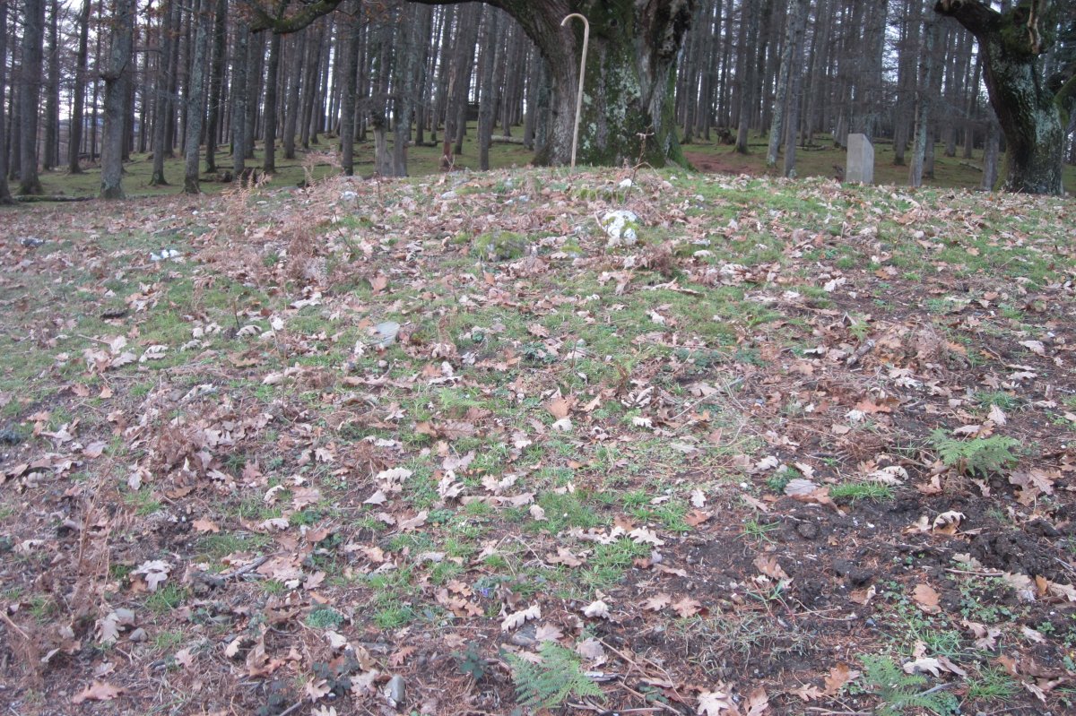 Túmulo Etxolla (Noviembre 2017)