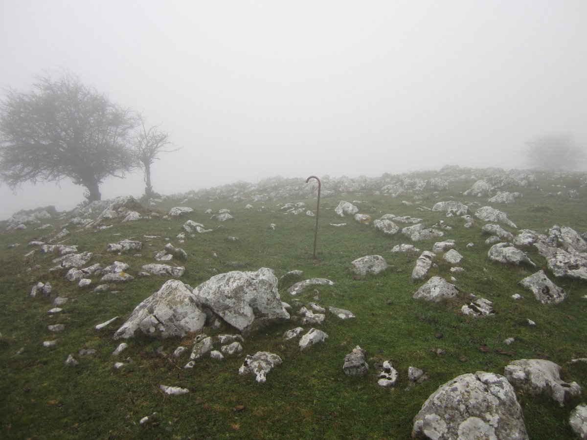 Túmulo Anular Igaratza Sur  (Noviembre 2015)