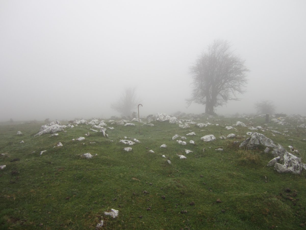 Túmulo Anular Igaratza Sur  (Noviembre 2015)