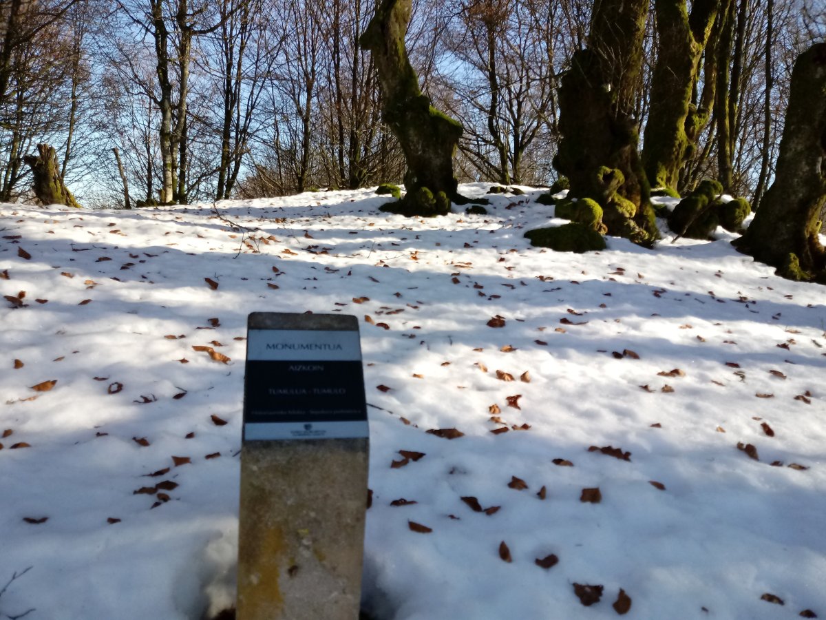 Aizkoin tumuloa (2017)