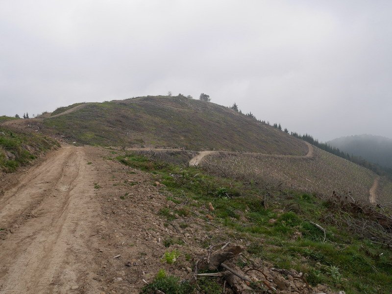 Hego-mendebaldetik ikusita