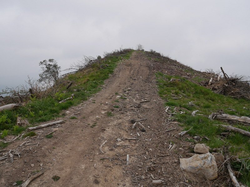 Tontorrera iristeko azkenengo aldapa