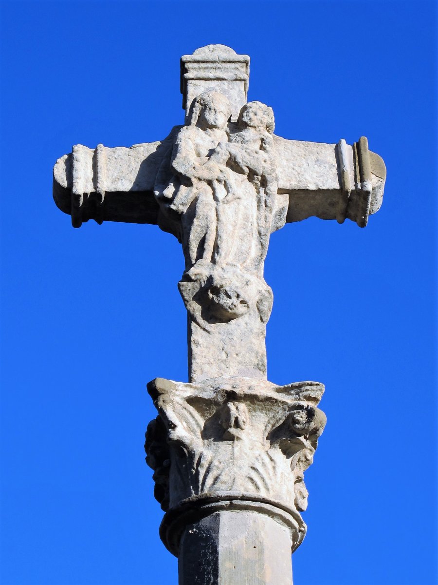 Santa Krutz kruzeroa, Mañeru